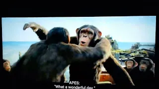 what a wonderful day Kingdom of the planet of the apes