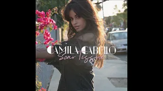 Camila Cabello - Scar Tissue (HQ Snippet)