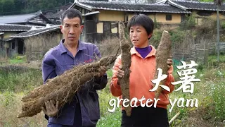 Grandpa dug giant potato  grandma handmade fries  daughter-in-law praised highly.