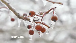 "Весеннее танго" Анны Герман