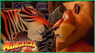 A Tripulação se Junta ao Circo | Trailer estendido | DreamWorks Madagascar em Português