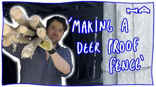 Making a Deer Proof Fence - EP 6 of Renovating our 150 year old Japanese house