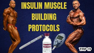 INSULIN IN BODYBUILDING | GAME CHANGER? PROTOCOLS AND APPLICATIONS