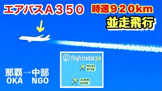 【並走飛行】B737とA350　那覇→中部　JTA