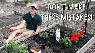 From Beginner to Pro Secrets to Perfect Tomatoes Revealed - AVOID These Mistakes