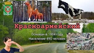 Красноармейский. Не птичий профиль Рефтинской птицефабрики.