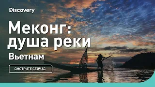 Меконг| Вьетнам | Discovery | Документальный фильм 2023