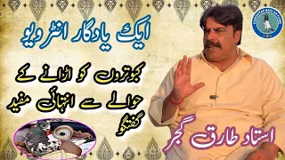 Very Special Discussion Regarding Kabootar baazi by Ustad Tariq Gujjar