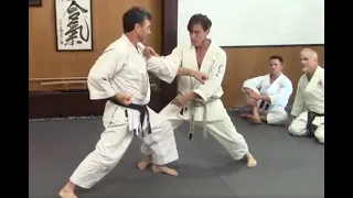 Training with rick hotton sensei, remote dojo membership program