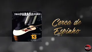 Cerca de espinho   Trio Parada Dura (Lyric Vídeo)