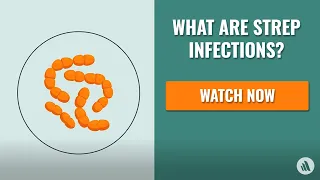 Strep Infections: The Causes, Symptoms, and Diagnosis | Merck Manual Consumer Version Quick Facts