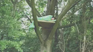 I Spent the Night in a Tree & It Was a Huge Mistake (Sleep in a Tree Challenge)