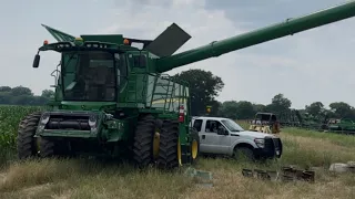 Wheat Harvest 2024 (Days -1,-2,-3) S670