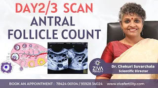 Follicle Development || Antral Follicle Count On Day 2/3 || Dr Chekuri Suvarchala