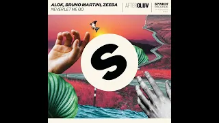 Alok - Never Let Me Go (Feat. Bruno Martini & Zeeba)