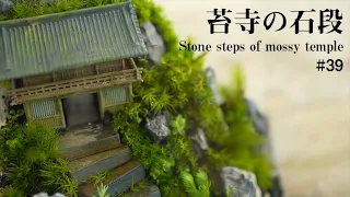 【How to make moss terrarium】Stone steps of mossy temple #39