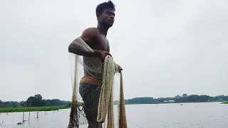 Amazing hand net fishing in the river |হাত জাল দিয়ে বিলে দেশি মাছ শিকার। ঝাঁকে ঝাঁকে দেশি পুটিমাছ।