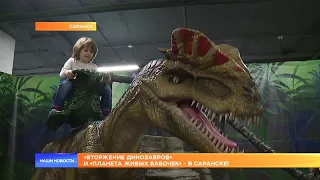 «Вторжение динозавров» и «Планета живых бабочек» - в Саранске!