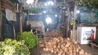 BIKIN DULU MINYAK KELAPA SEBELUM BONGKAR KELAPA