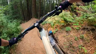 Predator -  Tiger Mountain MTB