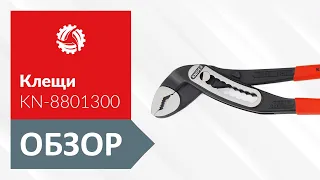 Обзор переставных клещей KNIPEX KN-8801300