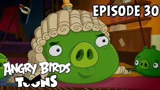 Angry Birds Toons | Piggywig - S1 Ep30