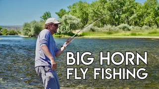 Epic Big Horn Dry & Nymph Fishing | Montana