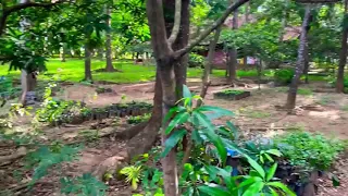 A Quick Tour of Forest Park in Trece Martires City!!!! (Philippines)