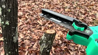 Usage, Testing, Oil Issues, & Review of RLSoo Battery Powered Mini Chainsaw