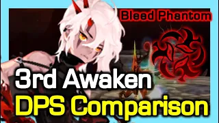 Bleed Phantom 3rd Awaken DPS Comparison / Before vs After / DragonNest Korea (2022 November)