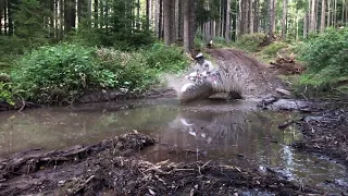 "HONDA XLR 125 R" Crossing the water and mud "Hard Enduro"