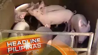 Headline Pilipinas | TeleRadyo  (29 June 2023)