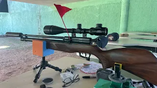 Prova do Tiro Nacional Carabina com Luneta 25m com Carabina Gamo Coyote calibre 5,5mm