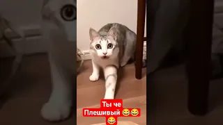 Молоко поставь тут 😂 #лучшее