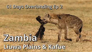 Zambia: Liuwa Plains & Kafue [61 Days Overlanding Episode 2}