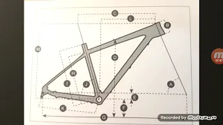 Diferencias entre SCOTT Scale y SCOTT Aspect 2020