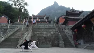 Wudang Dan Jian 武當丹剑