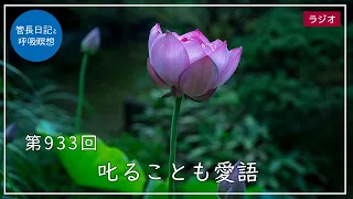 第933回「叱ることも愛語」2023/7/28【毎日の管長日記と呼吸瞑想】｜ 臨済宗円覚寺派管長 横田南嶺老師