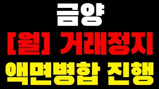 금양, 월요일 거래정지 액면병합 진행 / 주주 필수 시청 영상