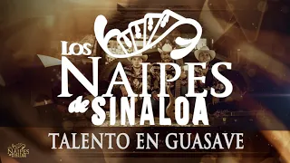 Los Naipes De Sinaloa 2020 | Talento En Guasave (cover)