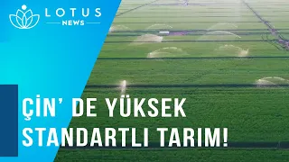 ÇİN’ DE YÜKSEK STANDARTLI TARIM!