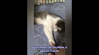 ❗️❗️🐾ЗАПУСКАЕМ ФЛЕШМОБ ПРОТИВ ЖИВОДЁРОВ 🐾❗️❗️ПРЕСТУПНИК ДОЛЖЕН БЫТЬ НАКАЗАН ПО ЗАКОНУ!