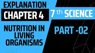 7th Science| Chapter  4 | explanation 2 | NUTRITION IN LIVING ORGANISMS | ‎@lalitlaxane9469  |