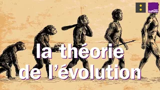 Créationnisme : peut-on nier la théorie de l'évolution ?