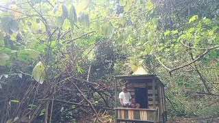 2hari solo camping membuat tempat yang nyaman dari bambu dan di guyur hujan deras survival
