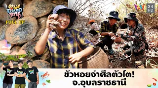 ขัวหอยจำศีลตัวโต! ช่วงหน้าแล้ง อ.พิบูลมังสาหาร จ.อุบลราชธานี  | ตามอำเภอจาน | 9 เม.ย.67 Full EP