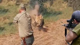 Lions do not give in to the hunter 😱🔥👍👌 part 3