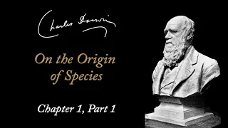 Charles Darwin: On the Origin of Species - Chapter 1 Part 1 (Audiobook)