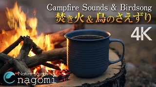 焚き火の音・鳥のさえずりでくつろぎの3時間｜焚き火BGM｜癒し・勉強・睡眠用｜ASMR自然音｜Campfire Nature Sounds