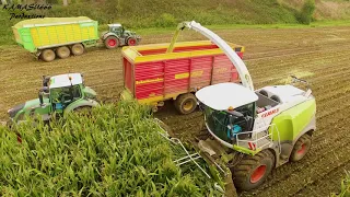 Mais 2019 : Jean Stassart / Claas Jaguar 970 / John Deere 6R / Maisernte / DJI 4K